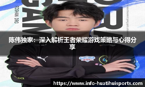 陈伟独家：深入解析王者荣耀游戏策略与心得分享